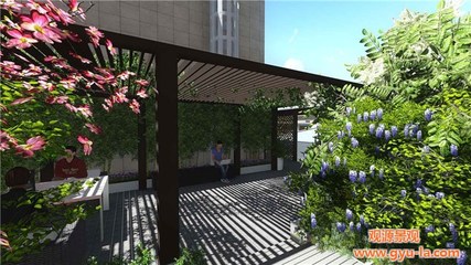 專業景觀設計 陜西觀源景觀工程的藝術與實用之道